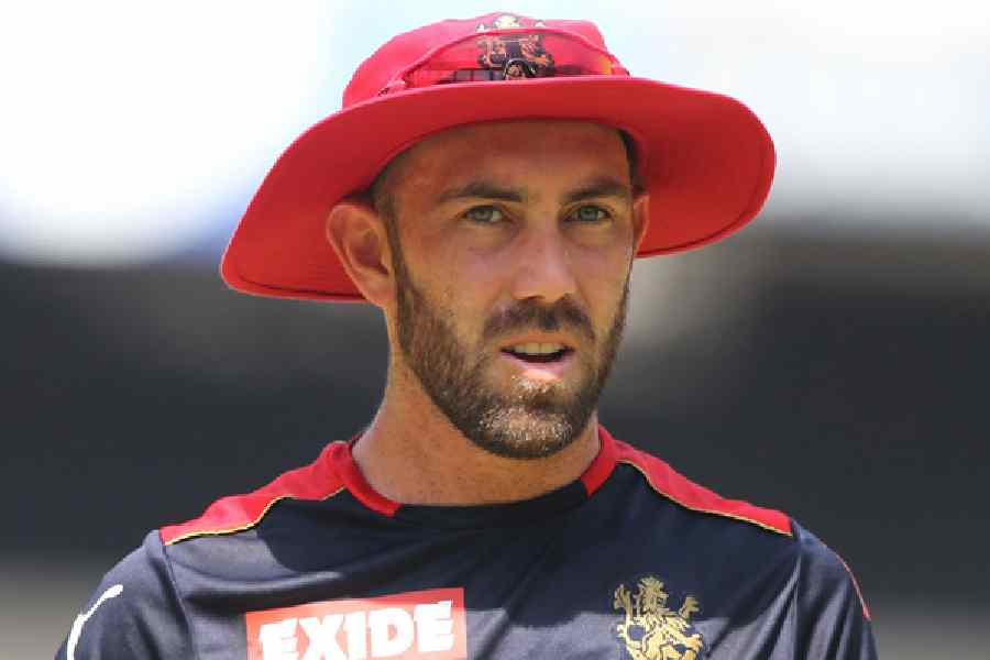 Glenn Maxwell Hospitalised Following Late Night Party In Adelaide