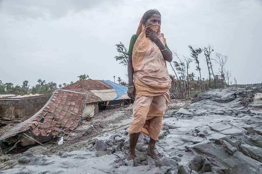 Mangrove Photography Awards A Day In The Life Of The Sundarbans