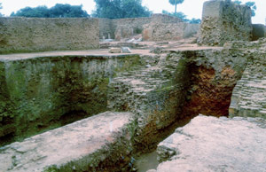 নালন্দার তেলহারায় খোঁজ বৌদ্ধ মহাবিহারের