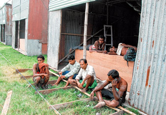 There is a problem to starts wholesale cracker market