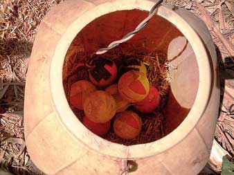 কালিয়াচকের বাঁশবাগানে মিলল ১৬টি বল-বোমা