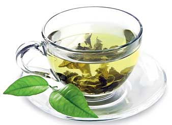 প্রস্টেট ক্যানসার রুখতে রোজ গ্রিন টি খান