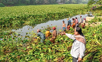 নদে এল জল। ছবি: নির্মাল্য প্রামাণিক।