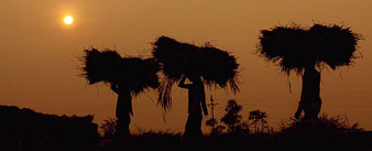 নবান্নে প্রাচীন যাত্রা উত্‌সবে মাতে গুগ