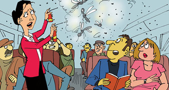 বিমান সফরে দেদার ফাউ মশার কামড় আর কেত্তন