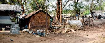 আঁধারেই ডুবে গাঁধীগ্রাম কুষ্ঠ কলোনি