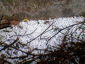 শিলাবৃষ্টিতে চাল ভেঙে পড়ে মৃত্যু, আহত ১৫