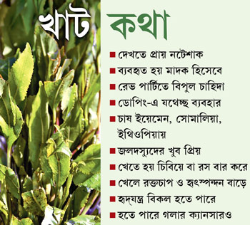 শাকপাতার ছদ্মবেশে বন্ধুত্বের মাদক খাট-পাতা