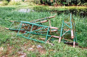 সমীক্ষা করেই বনসৃজন সিদ্ধান্ত পুরসভার