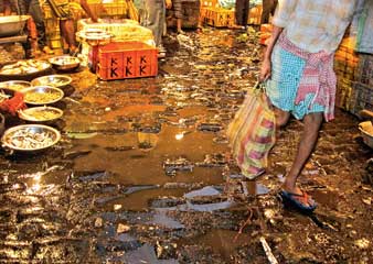 মালিকানা বদলেছে, বাজার বদলায়নি