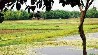 সেচ ক্যানালের জল নষ্ট হচ্ছে এ ভাবেই। জলপাইগুড়ির দেবীনগর এলাকায় সন্দীপ পালের তোলা ছবি।