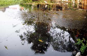 নিরাপত্তার অভাব, জল-আলোর সমস্যায় তিতিবিরক্ত নগেন্দ্রবাজার