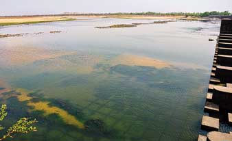 বাড়ছে দুর্ঘটনা, তবু ব্যারাজে স্নান রেওয়াজ পড়ুয়াদের