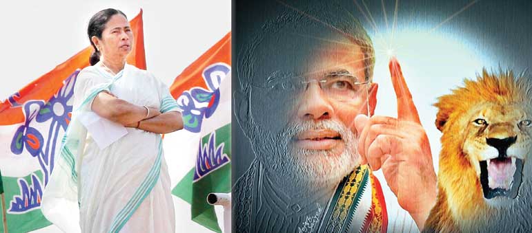 দ্বৈরথ দুই ফুলে, লাল এখন ব্রাত্য