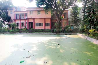 নর্দমার জল পুকুরে, আশঙ্কায় জোকার গুরুসদয় সংগ্রহালয়