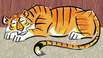 ছবি: ওঙ্কারনাথ ভট্টাচার্য