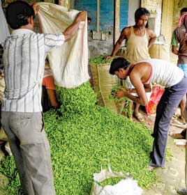 লঙ্কা ফেলে ক্ষোভ।—নিজস্ব চিত্র।