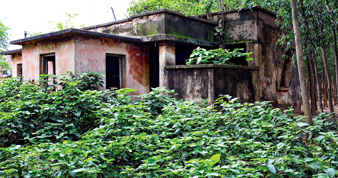 স্বাস্থ্যকেন্দ্রের আবাসন ঢাকা আগাছায়