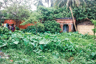 তেমনই একটি রেল আবাসন।  ছবি: অরুণ লোধ।