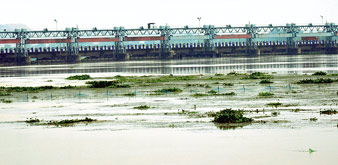 বেহাল ব্যারাজ, দাবি সংস্কারের