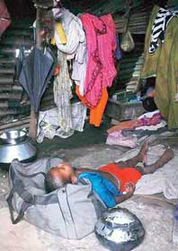 বন্ধ চা বাগান খুলতে উদ্যোগী সরকার