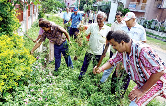 সিটি সেন্টারে ঝোপঝাড় সাফ। নিজস্ব চিত্র।