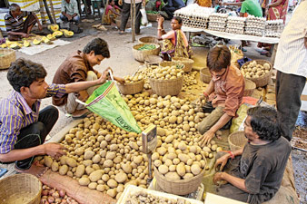 জ্যোতির দর ছুঁল ২২ টাকা, ব্যাজার মুখে বাজার গৃহস্থের