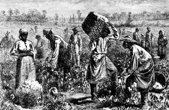 সাদা-কালো গল্প