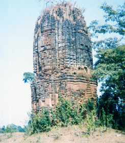 সম্পাদক সমীপেষু