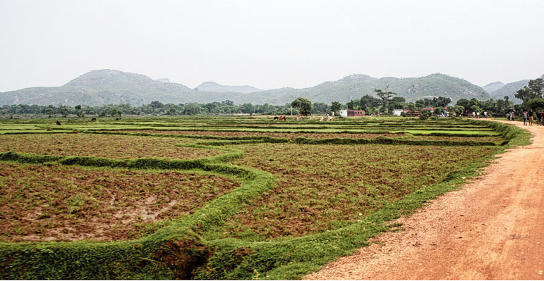জুন-জুলাই বৃষ্টি কম, আশঙ্কায় চাষি