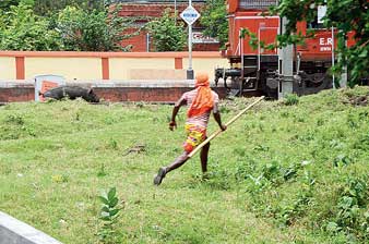 দিনভর ছুটেও ধরা গেল না শুয়োর