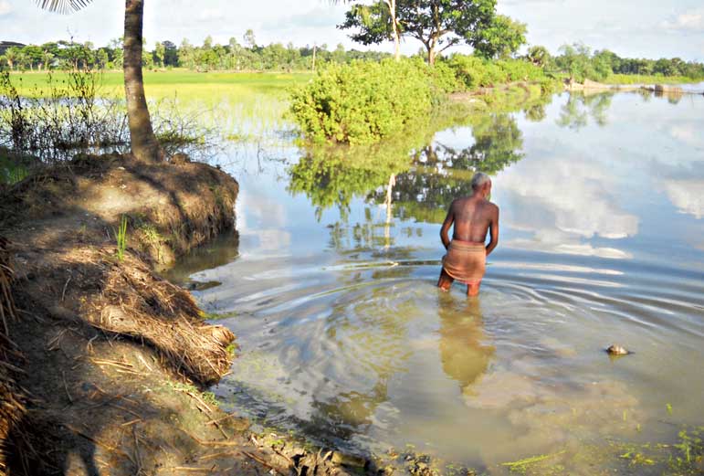 রাস্তা-খাল একাকার, যাতায়াত চলে কোমরসমান জল ভেঙে