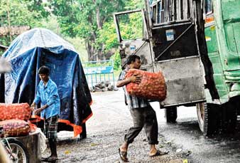 Heavy crisis for potato strike starts from today