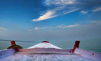 মাছ, বাঘ, নখ, কালো রোগা লোক