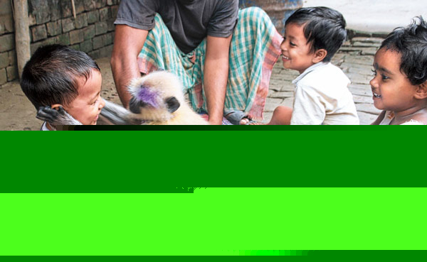 ‘বন্ধু’দের সঙ্গে অঙ্গনওয়াড়ি যায় বিরুও