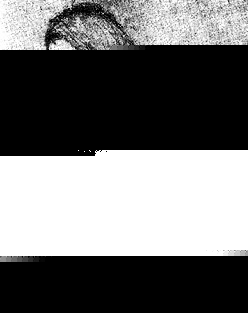 special write up about lalan fakir on his 125th death anniversary