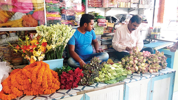 শতদল পদ্ম দেড় হাজার টাকা