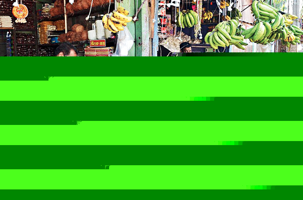 বাড়ছে ফলের দাম, ফাঁকাই পড়ে দোকান 