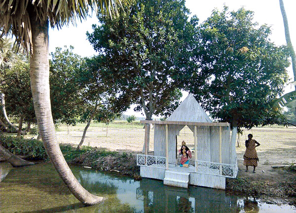 ফসলের দামের জন্য লক্ষ্মীপুজোয় প্রার্থনা