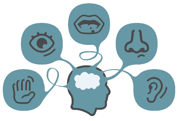 Humans only have one sense, not five