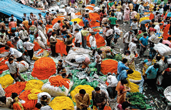 দু’দিনের নতুন শীতেই আগুন জবা