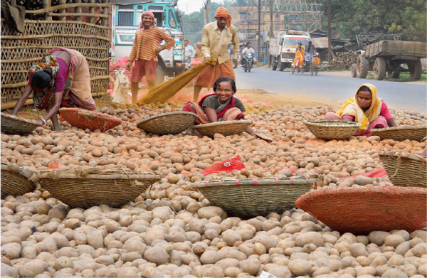 ফড়ের চক্করে অচল কিসান মান্ডি