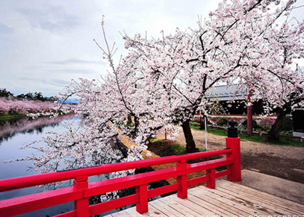 মনে মনে নয়, বাঙালি মধ্যবিত্ত এখন সত্যিই বেড়াচ্ছে মিশরে জাপানে