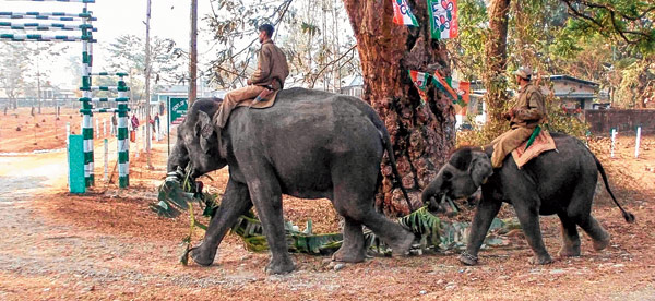 ‘চাকরি’ পেয়ে শান্ত এখন পাঁচ বছরের দুষ্টু বর্ষণ