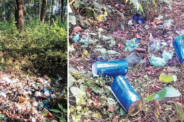 জঙ্গল যেন জঞ্জালময়