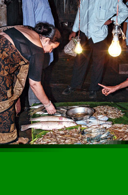 চিংড়ি কিলো প্রতি ৮০০ টাকা, ছোট ইলিশ বিকোচ্ছে হাজারে