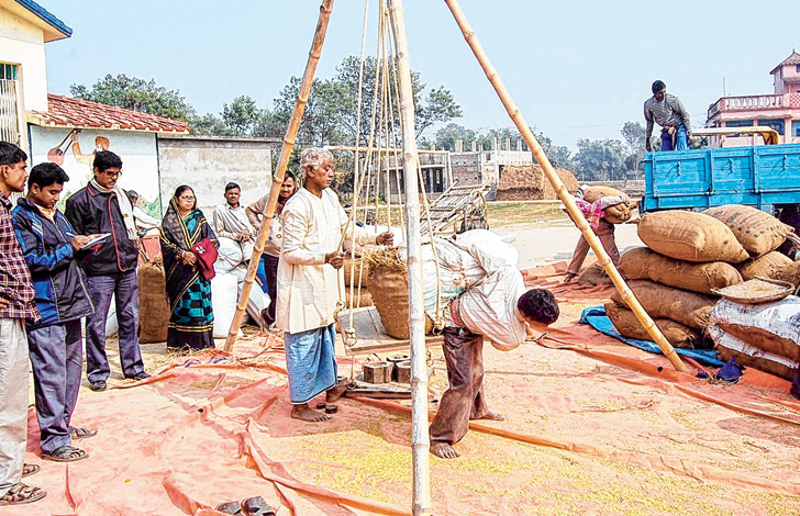 মিলছে না দাম, সঙ্কটে ধানচাষি