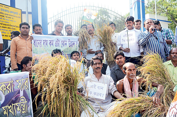 ধান কেনা নিয়ে ক্ষোভ