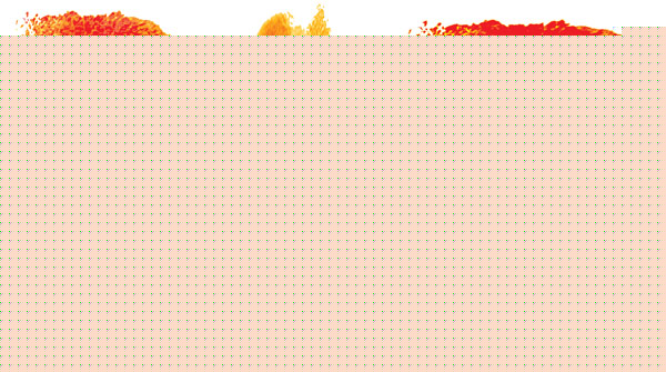 উনিও বললেন, ওঁর কুকুরও বলল