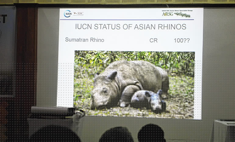 গন্ডার রক্ষায় সেনার দাওয়াই বিশেষজ্ঞদের